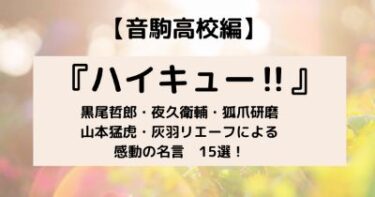 ハイキュー 及川徹 岩泉一のかっこよすぎる名言10選 青葉城西編 好きなことだけ